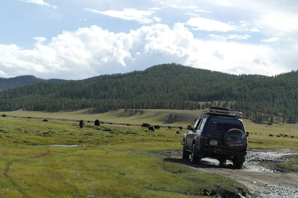 mongolia self driving 001 009